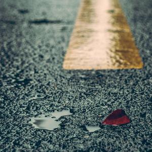 黄色大片跟刘亦菲操逼
