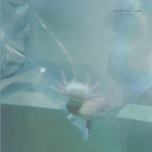 黄色大片跟刘亦菲操逼
